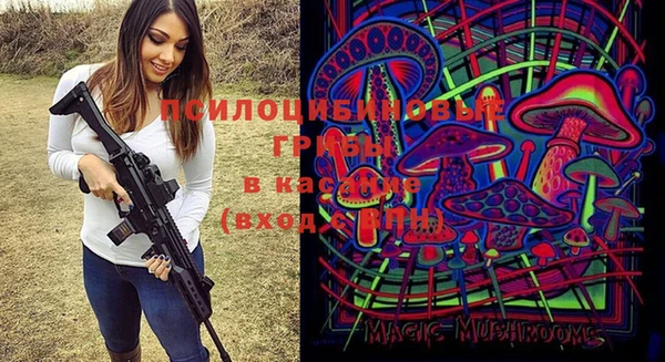 apvp Арсеньев