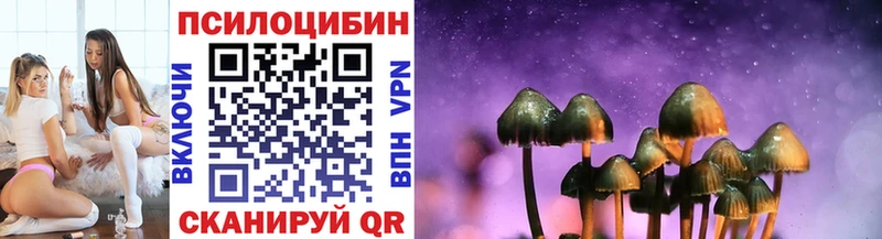 Псилоцибиновые грибы мицелий  OMG зеркало  Кремёнки  где купить  